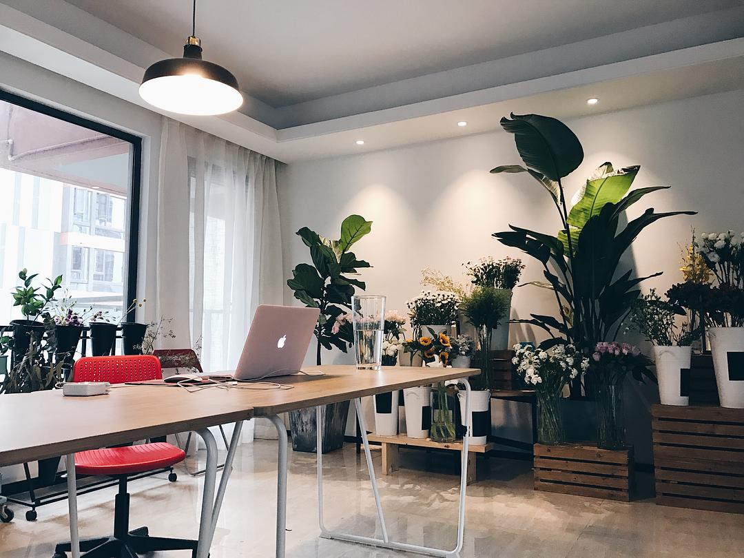 花藝培訓(xùn)學(xué)校裝修設(shè)計(jì)效果圖